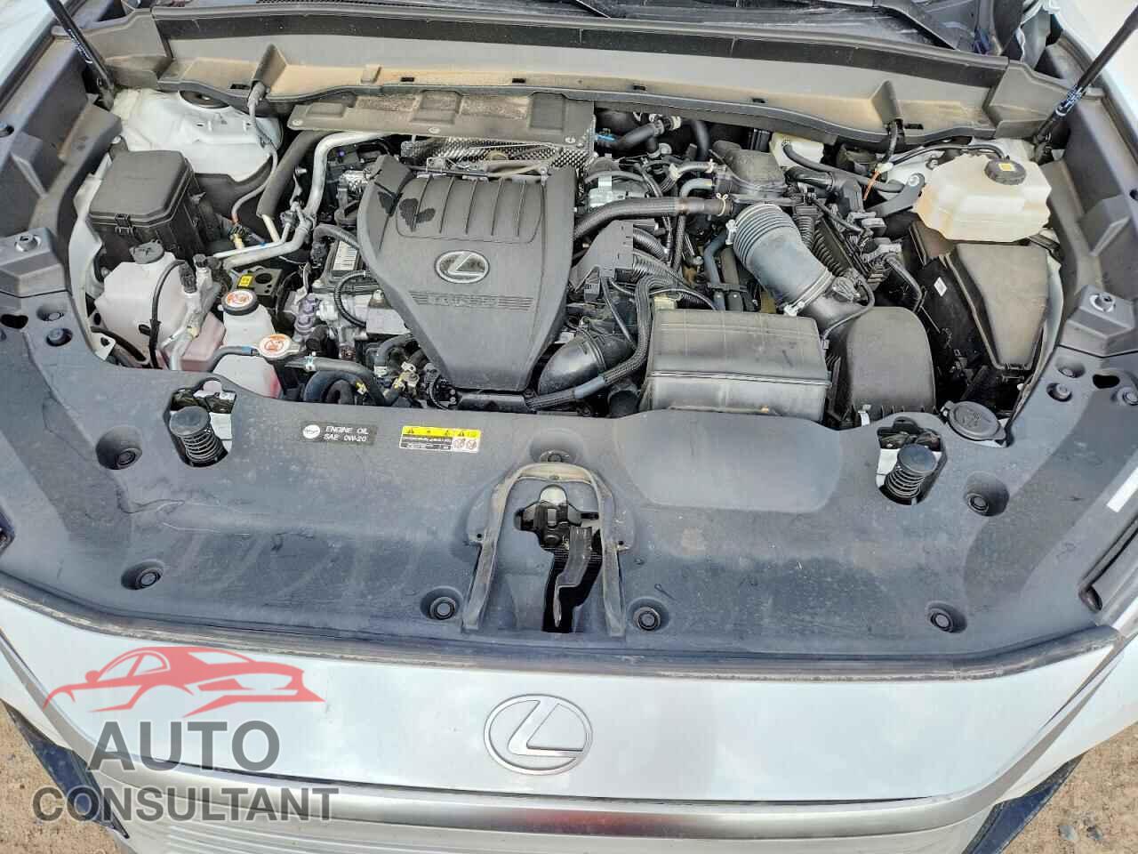 LEXUS UNKNOWN 2025 - 5TDABAB62SS011586