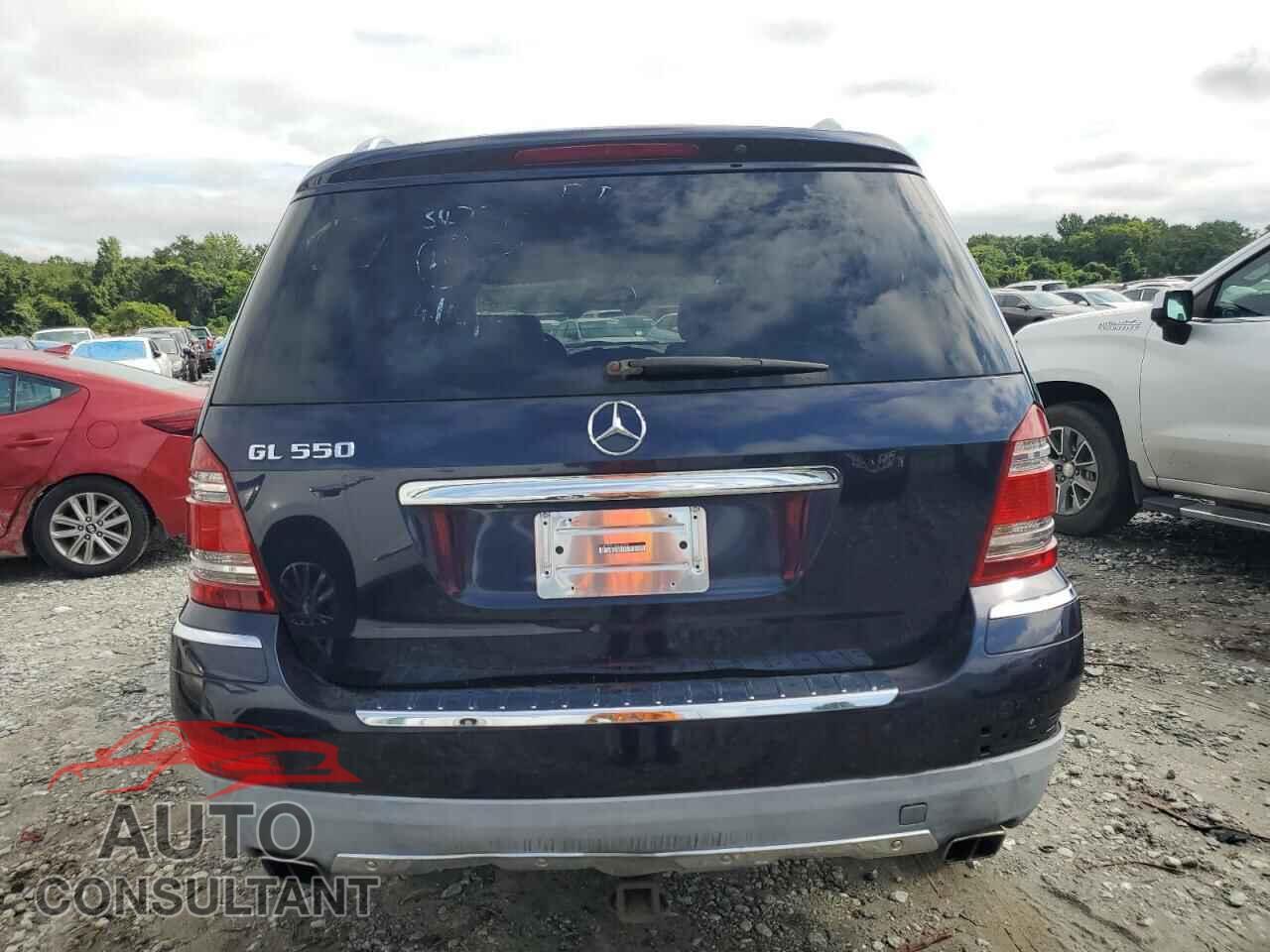 MERCEDES-BENZ GL-CLASS 2009 - 4JGBF86E19A460585