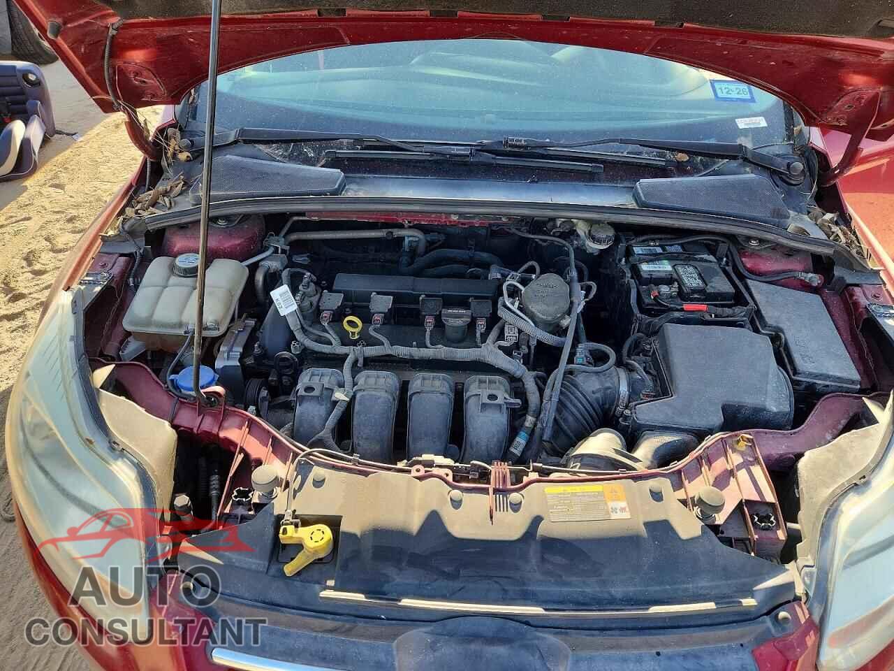 FORD FOCUS 2013 - 1FADP3F26DL116160