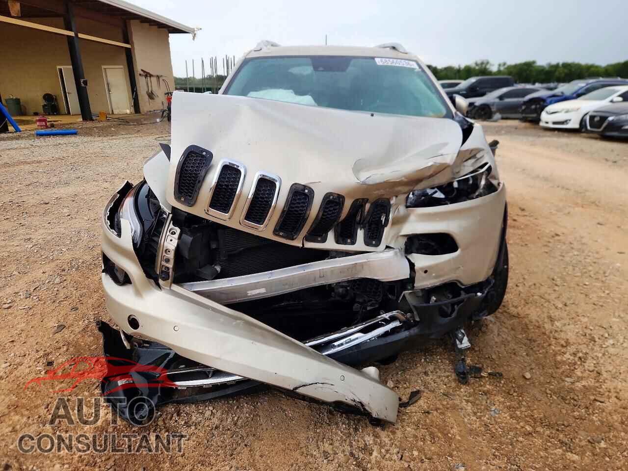 JEEP CHEROKEE 2014 - 1C4PJLDS4EW314098