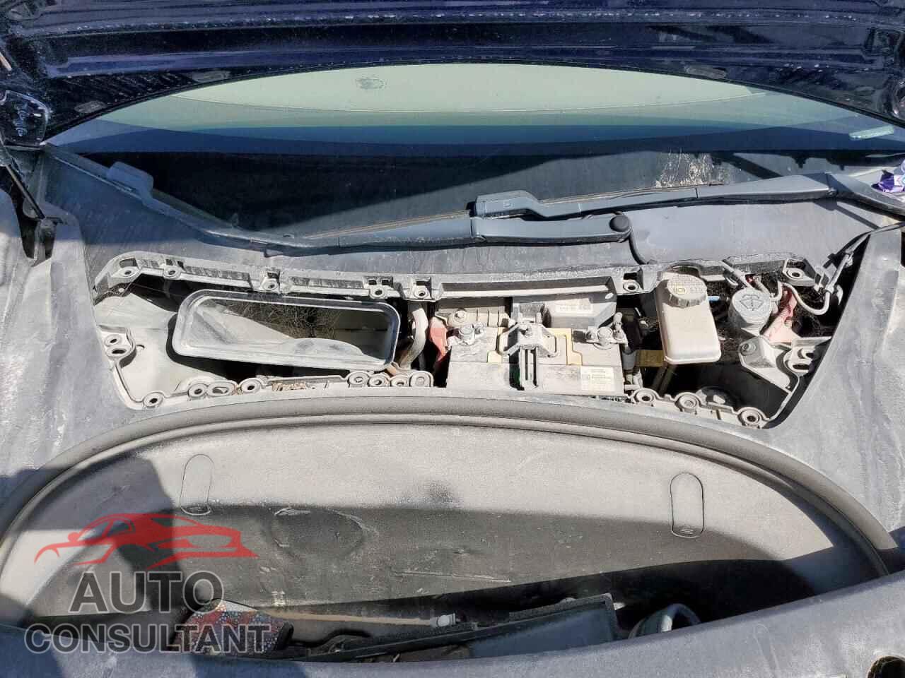 TESLA MODEL 3 2019 - 5YJ3E1EA3KF485731
