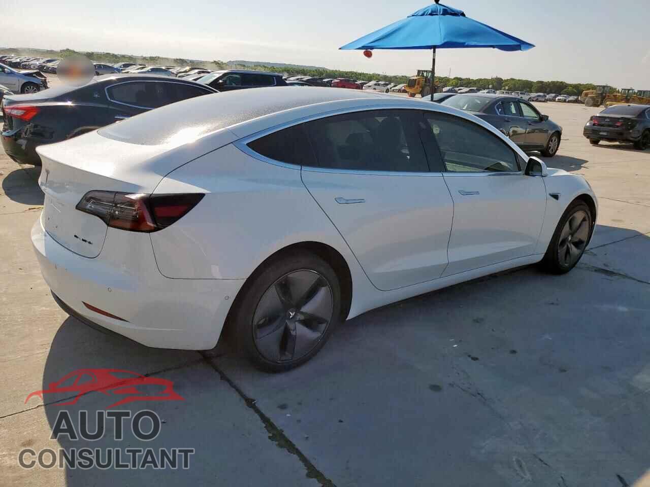 TESLA MODEL 3 2019 - 5YJ3E1EB9KF195065