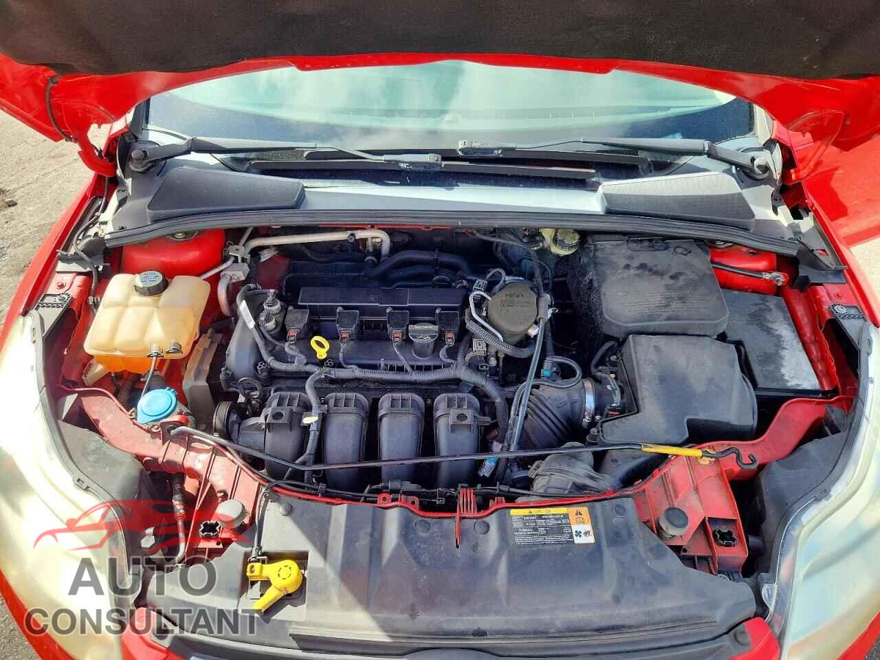 FORD FOCUS 2013 - 1FADP3F29DL331497