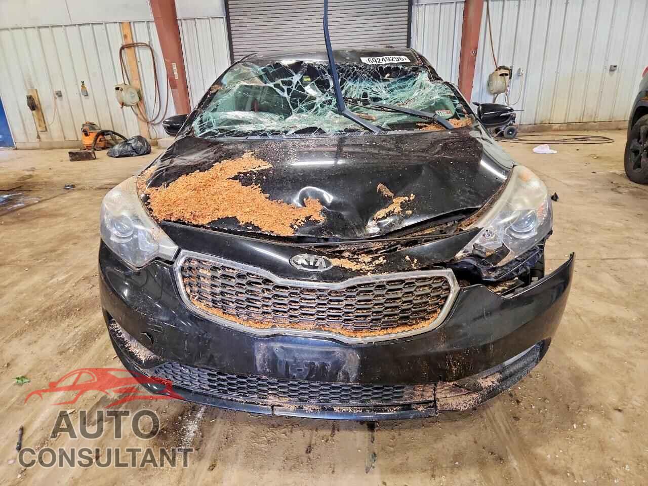 KIA FORTE 2014 - KNAFX4A82E5157599