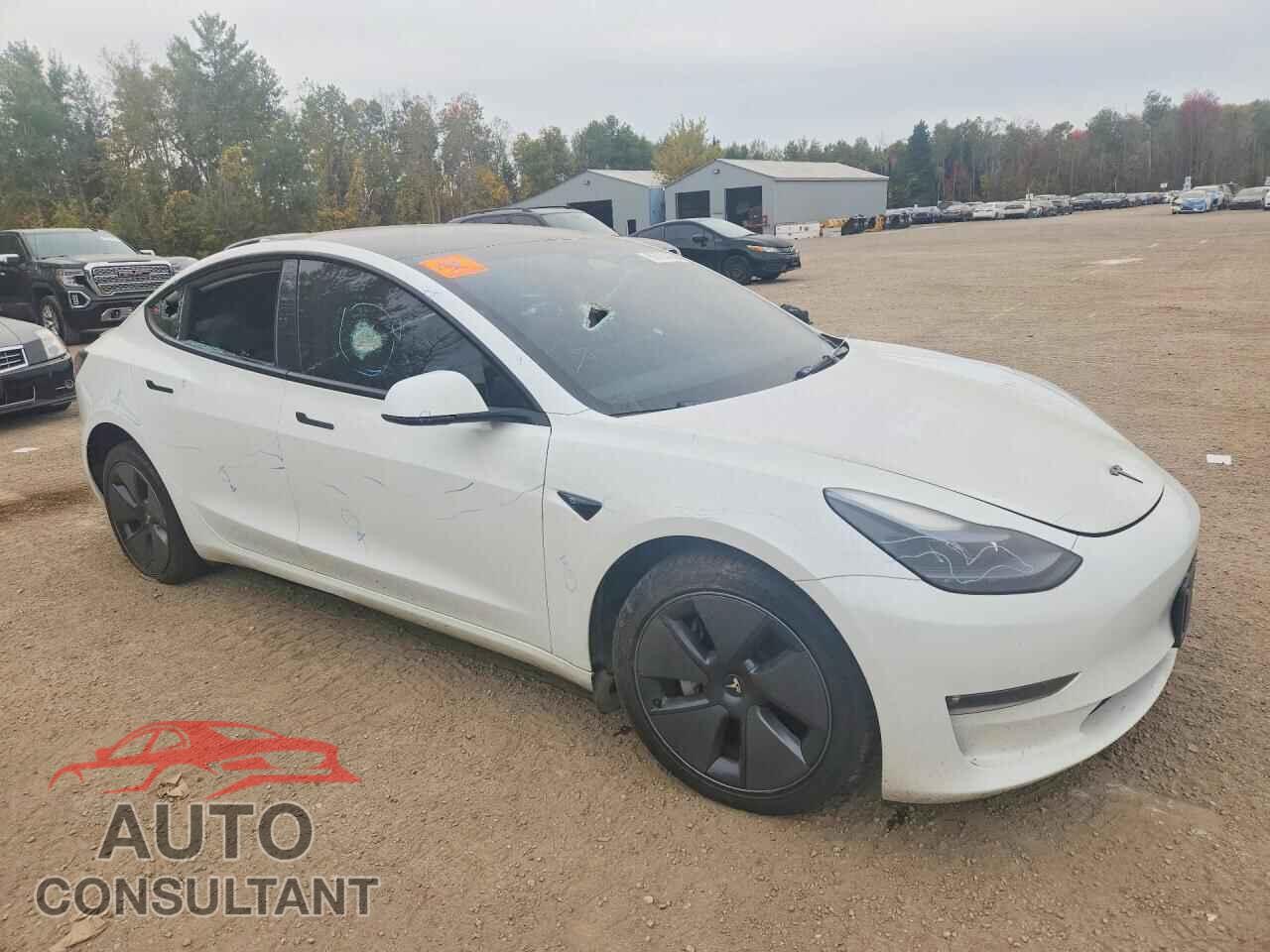 TESLA MODEL 3 2023 - LRW3E1EB6PC923426