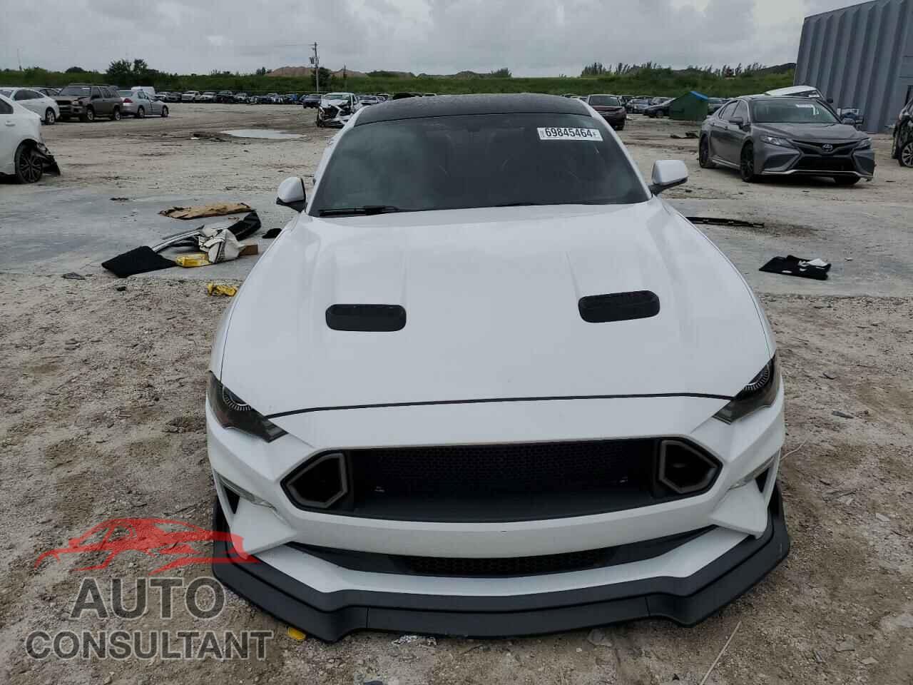 FORD MUSTANG 2019 - 1FA6P8CF6K5166877