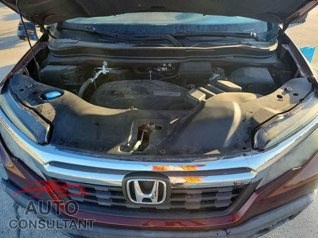 HONDA RIDGELINE 2019 - 5FPYK2F63KB002566