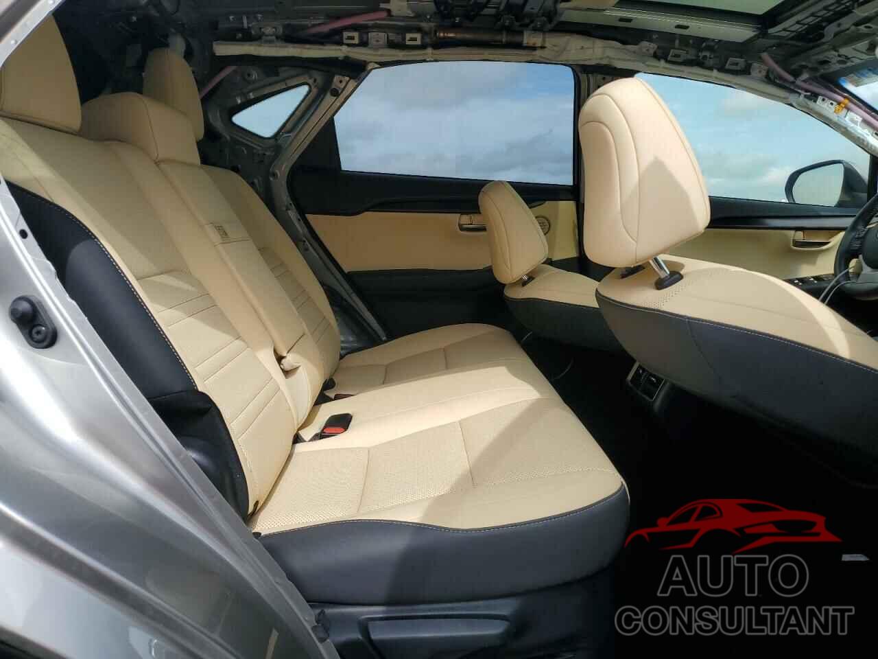 LEXUS NX 2019 - JTJBARBZ8K2190723