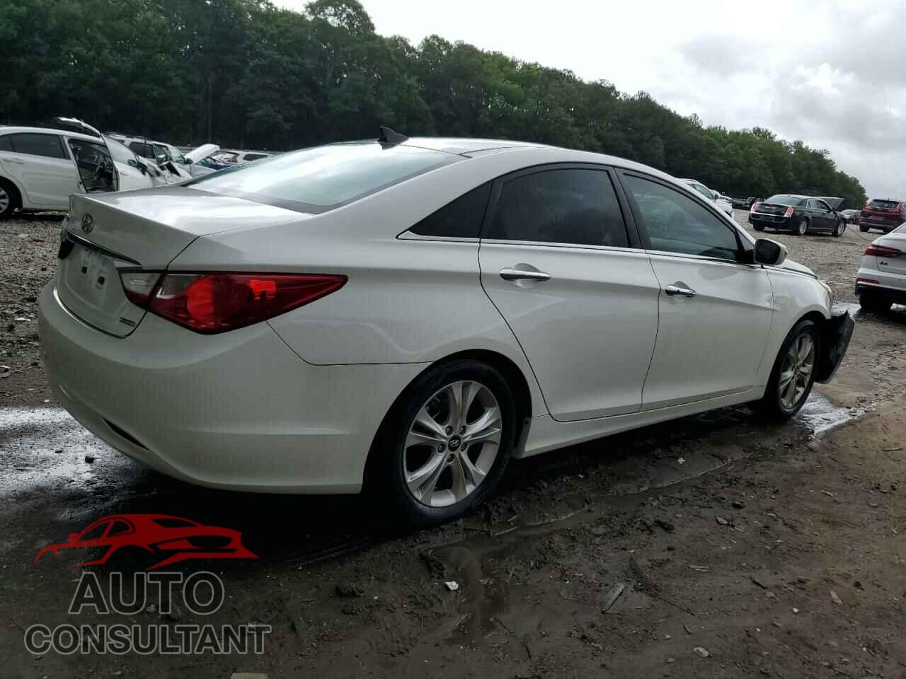 HYUNDAI SONATA 2013 - 5NPEC4AC7DH568977