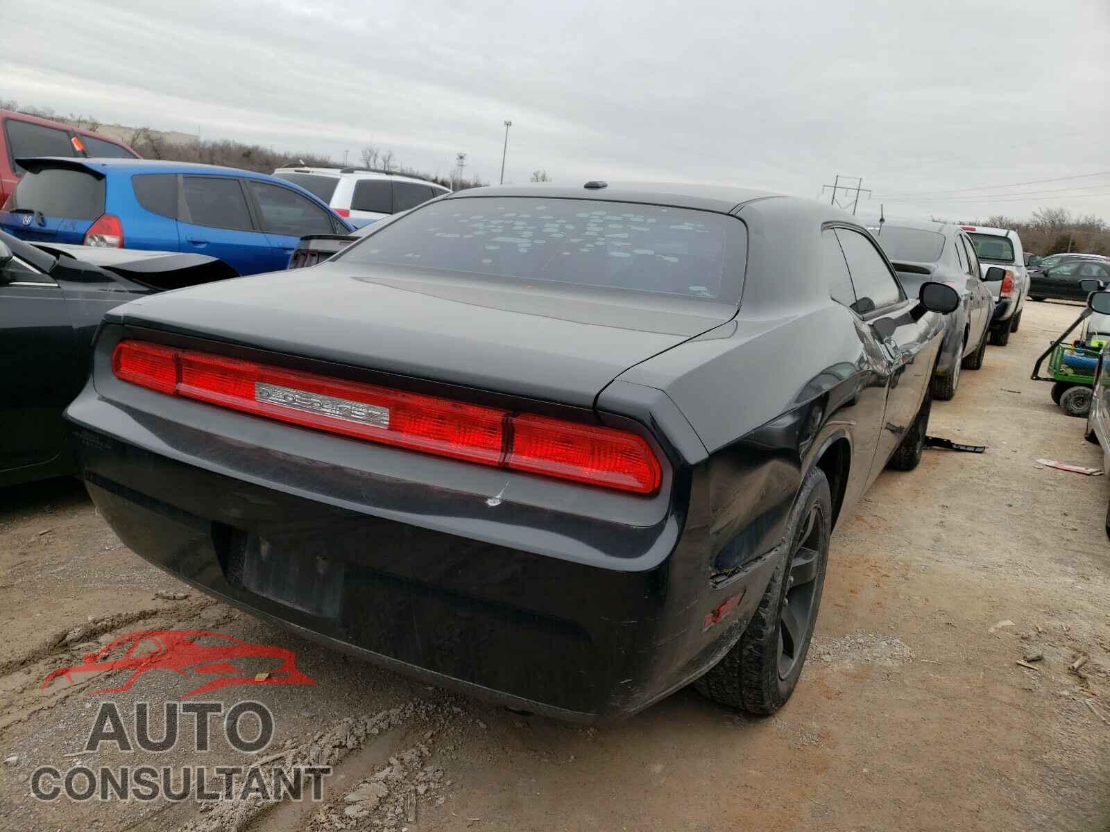 DODGE CHALLENGER 2010 - 2B3CJ4DV2AH220052