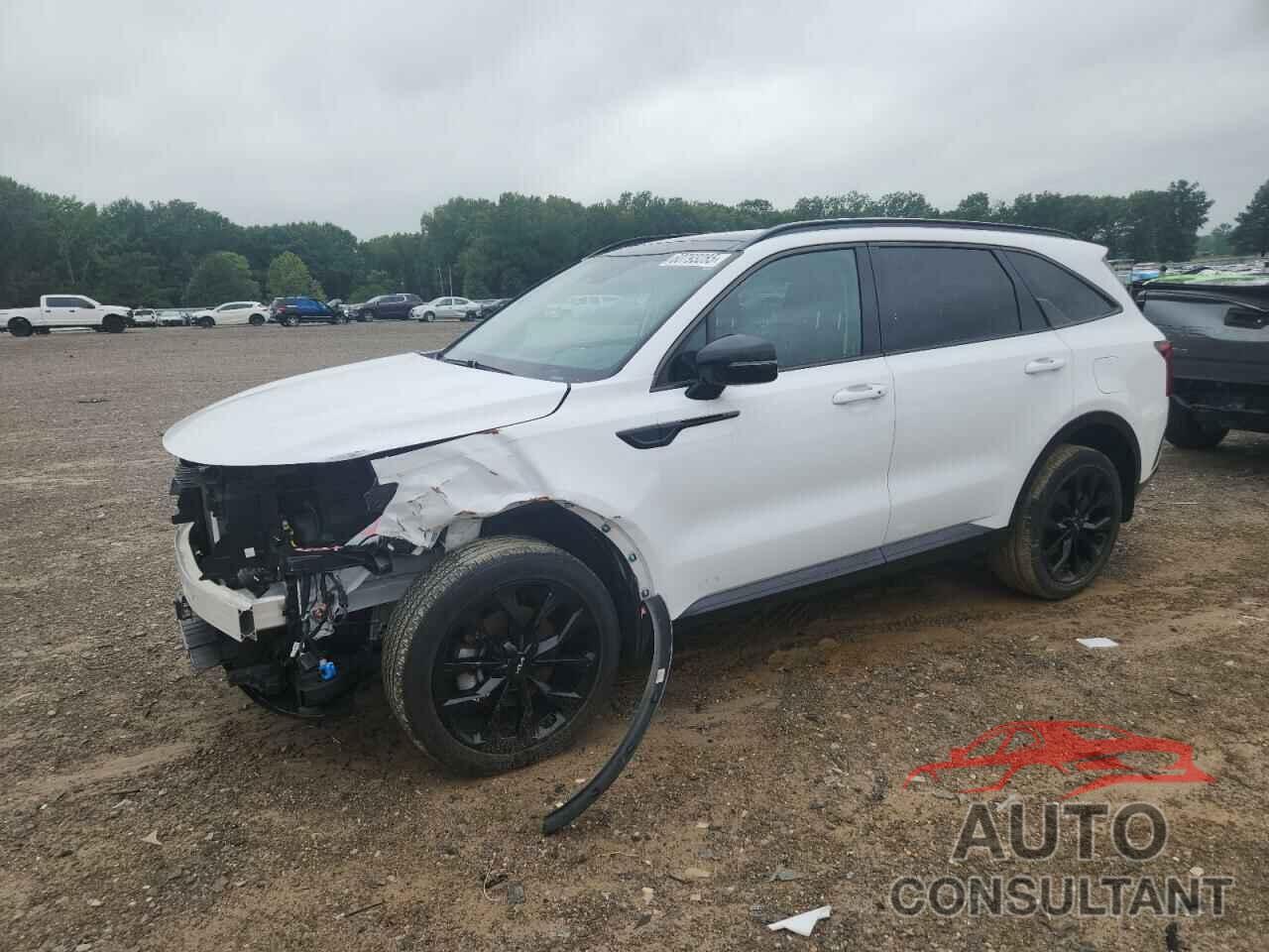 KIA SORENTO 2023 - 5XYRKDLF6PG201656