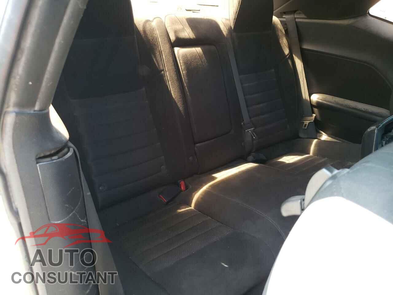 DODGE CHALLENGER 2010 - 2B3CJ4DV2AH289775