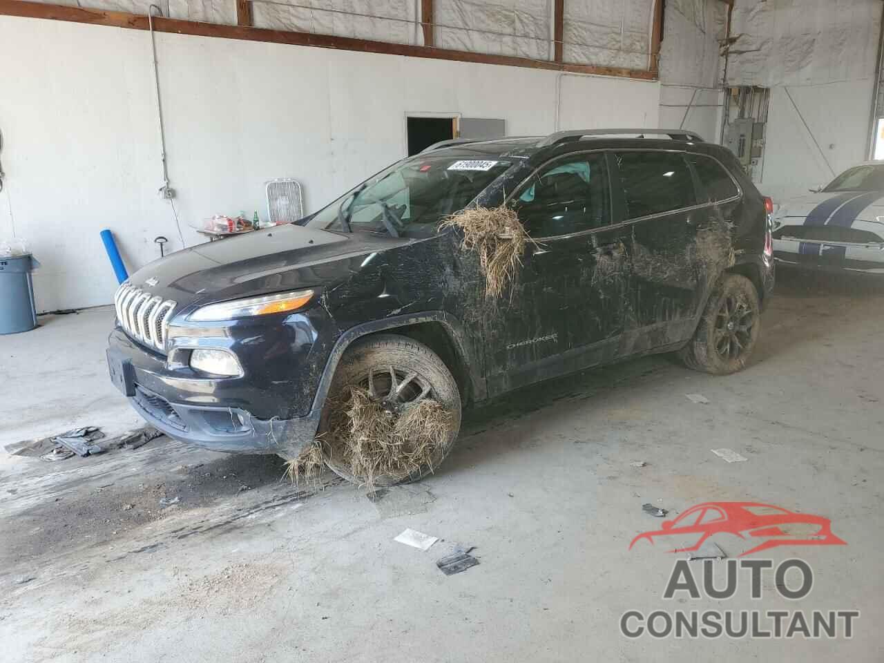 JEEP GRAND CHER 2016 - 1C4PJLCB1GW126952
