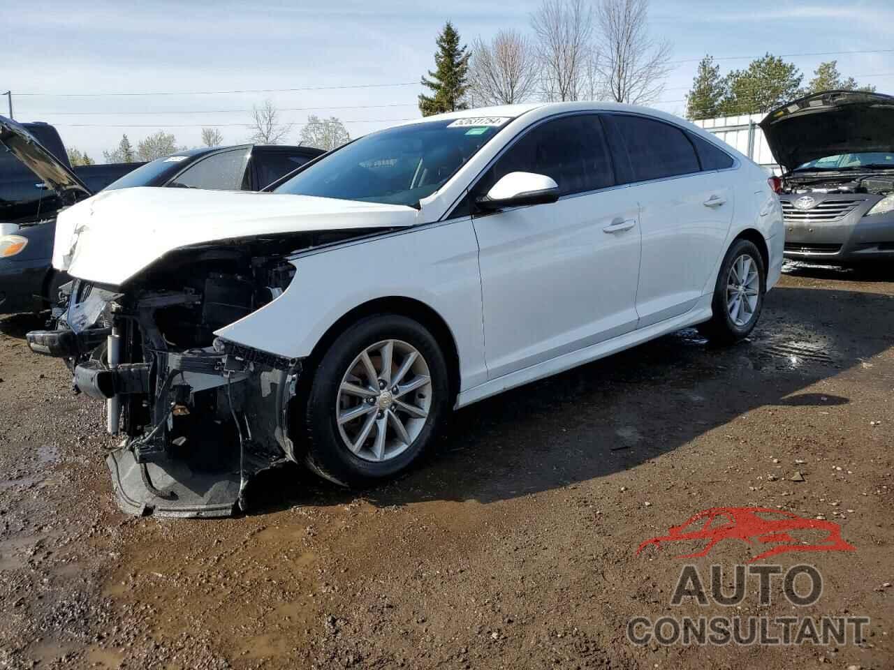 HYUNDAI SONATA 2018 - 5NPE24AFXJH721344