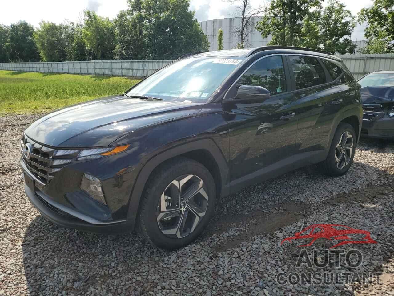 HYUNDAI TUCSON 2024 - KM8JCCD19RU202286