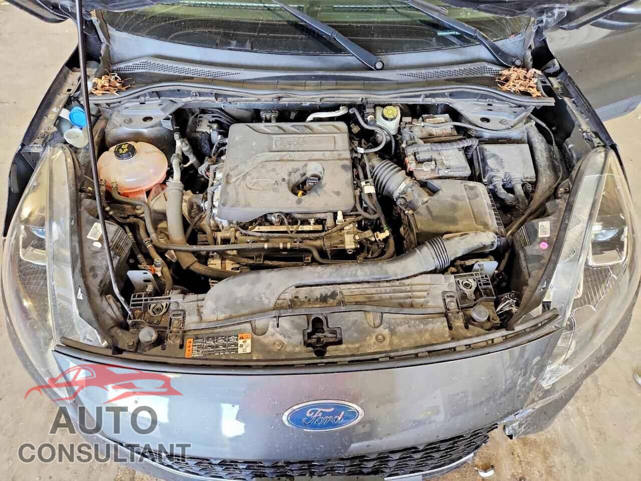 FORD ESCAPE 2020 - 1FMCU9G65LUA09169