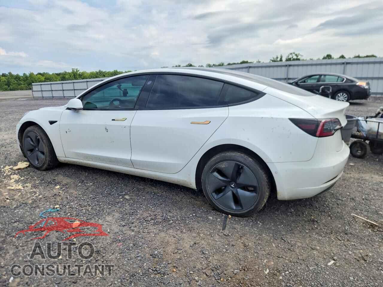 TESLA MODEL 3 2019 - 5YJ3E1EA2KF417808