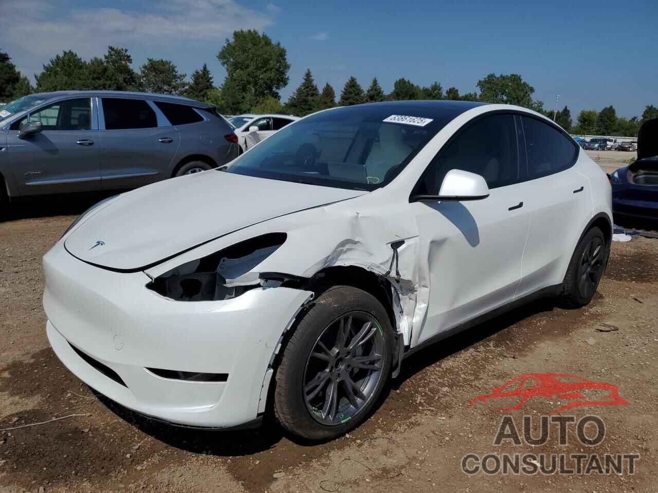 TESLA MODEL Y 2024 - 7SAYGDEDXRF207854
