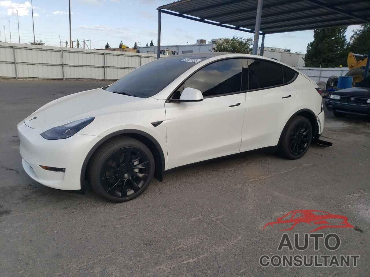 TESLA MODEL Y 2025 - 7SAYGDEE3SF297797