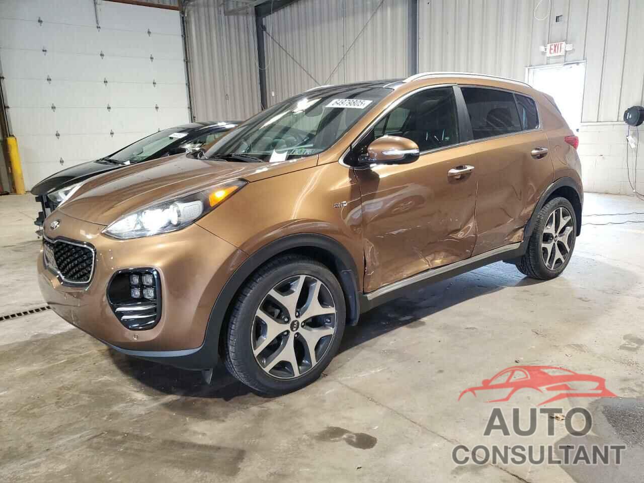 KIA SPORTAGE 2017 - KNDPRCA69H7095119
