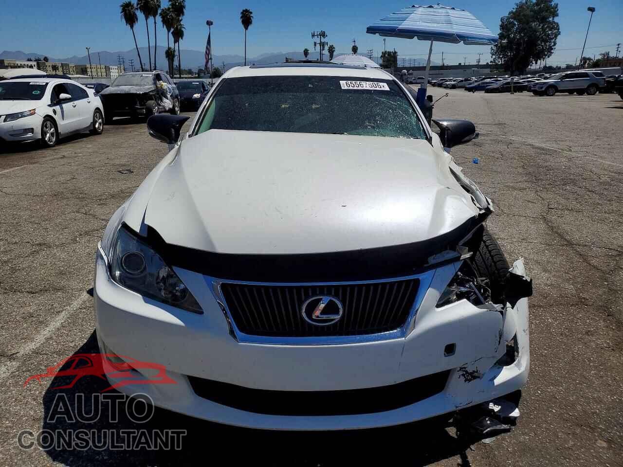 LEXUS IS 2009 - JTHBK262995104606