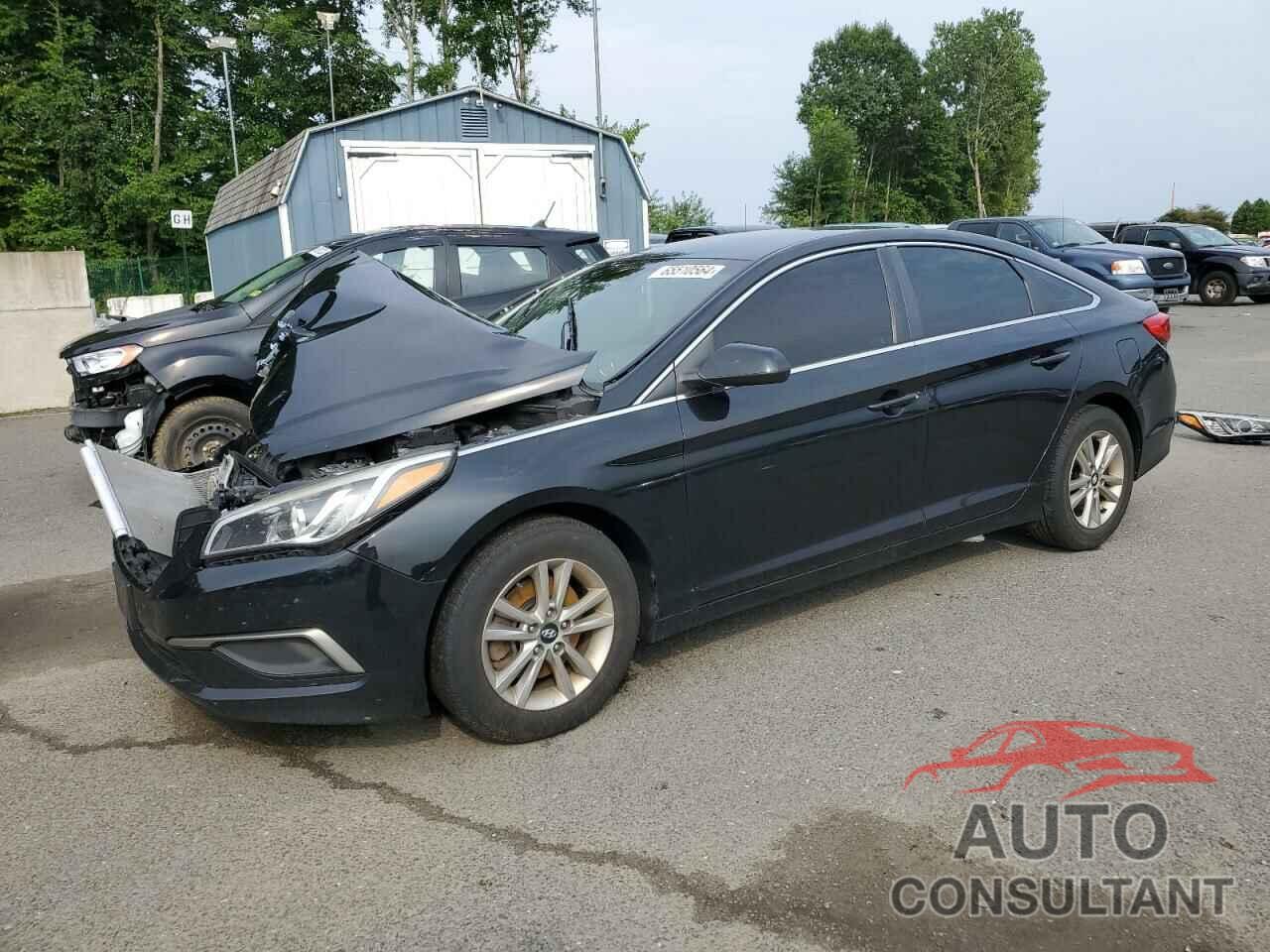 HYUNDAI SONATA 2016 - 5NPE24AF2GH311890