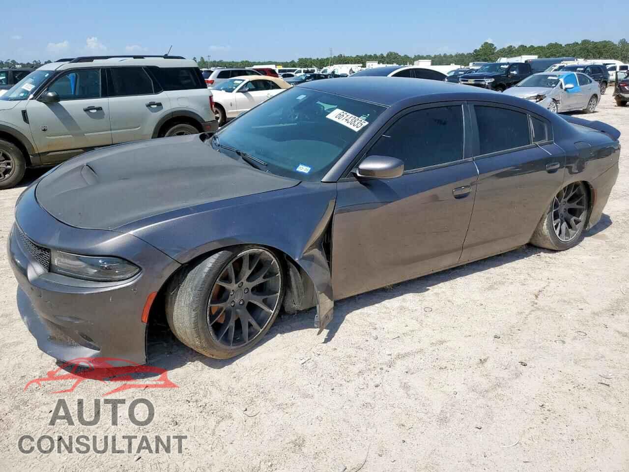 DODGE CHARGER 2019 - 2C3CDXCTXKH513100