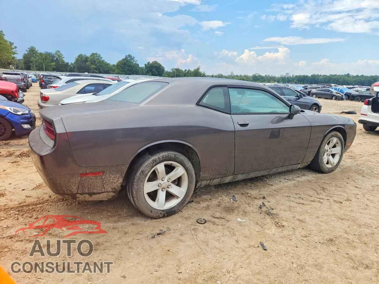 DODGE CHALLENGER 2014 - 2C3CDYAG3EH195224