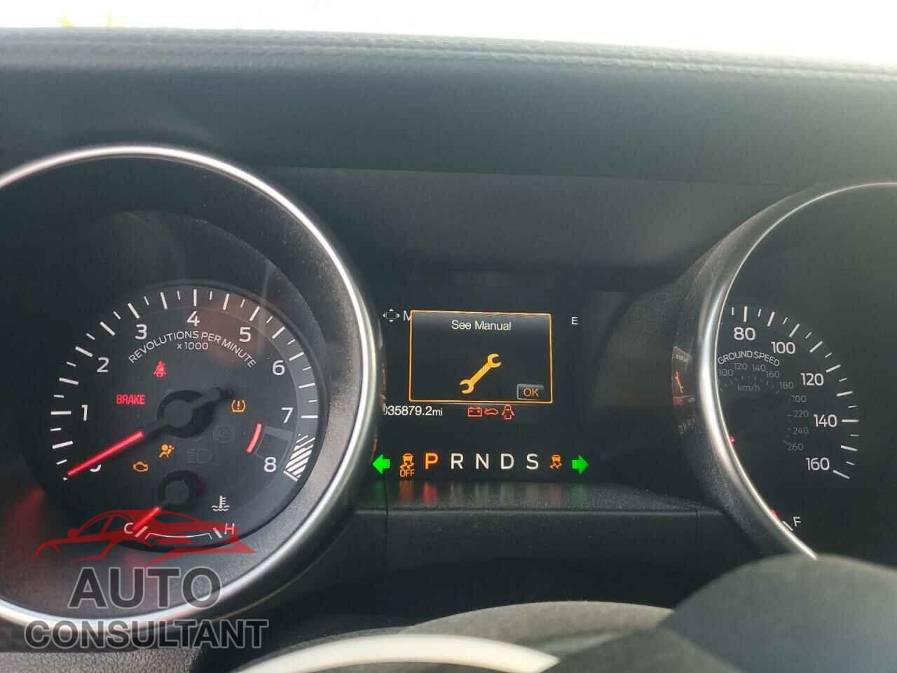 FORD MUSTANG 2019 - 1FA6P8CF8K5137977