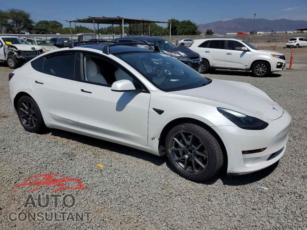 TESLA MODEL 3 2021 - 5YJ3E1EA1MF000800