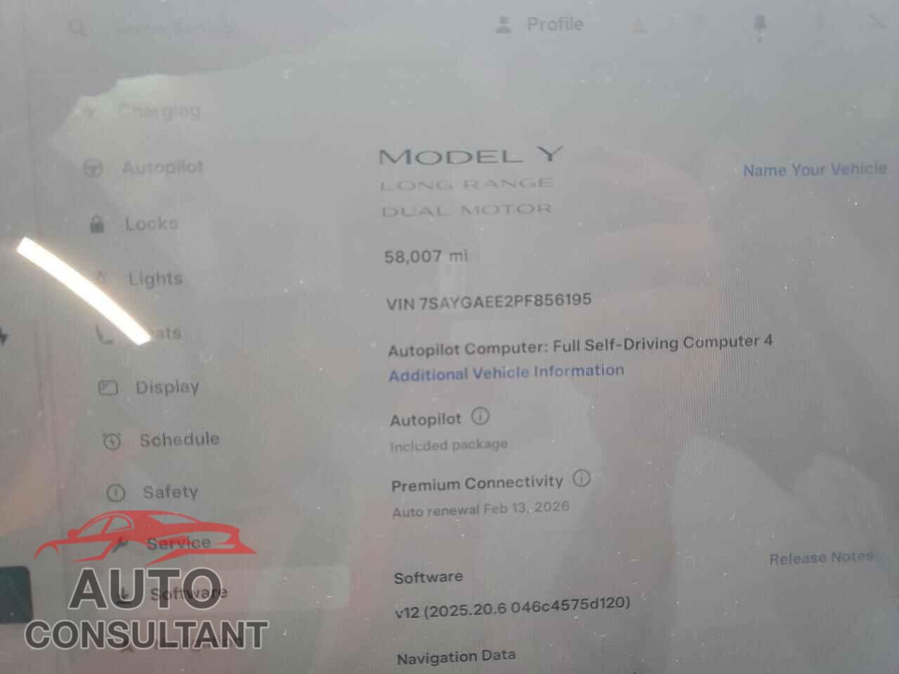 TESLA MODEL Y 2023 - 7SAYGAEE2PF856195