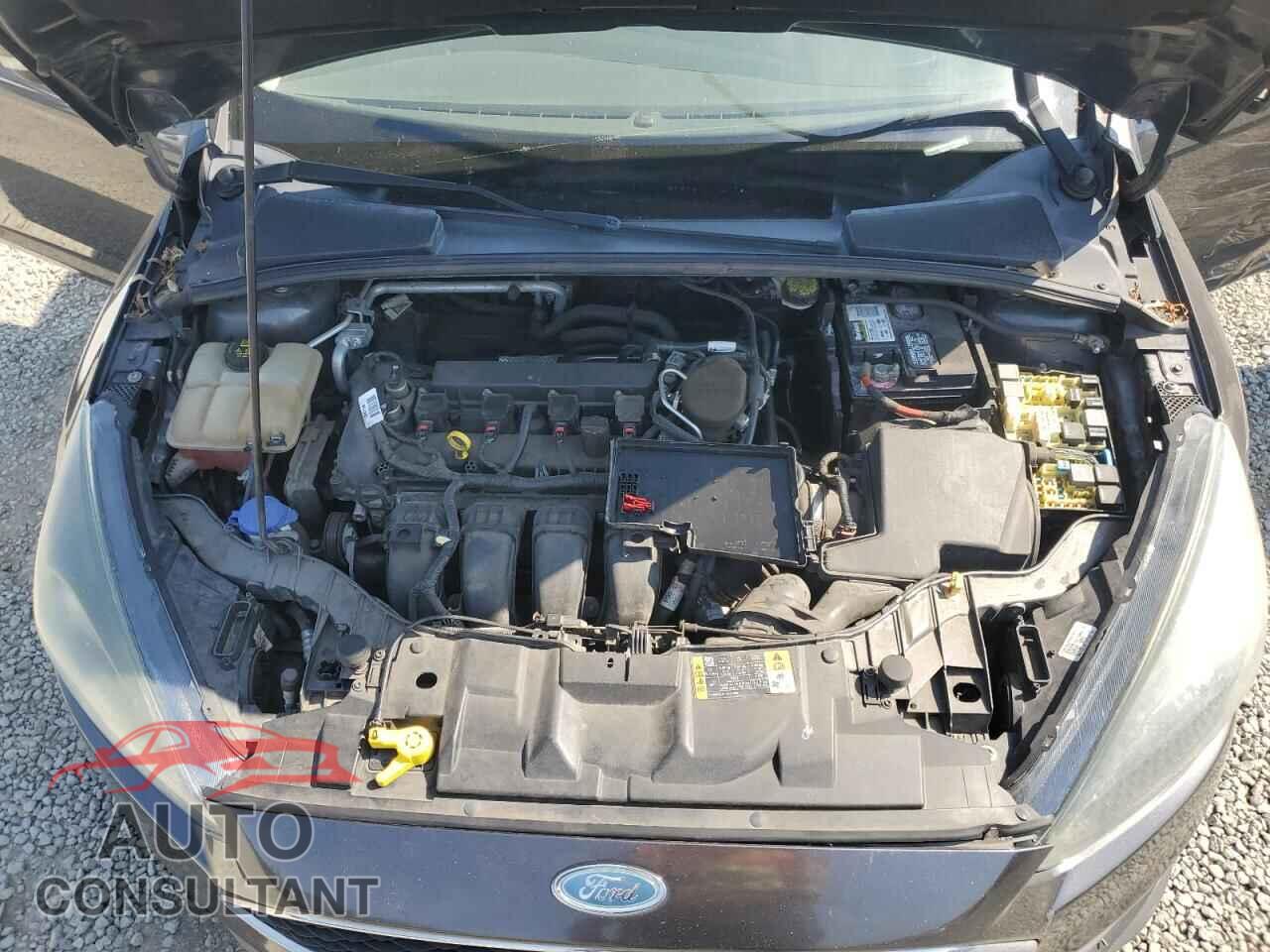 FORD FOCUS 2015 - 1FADP3K29FL221106