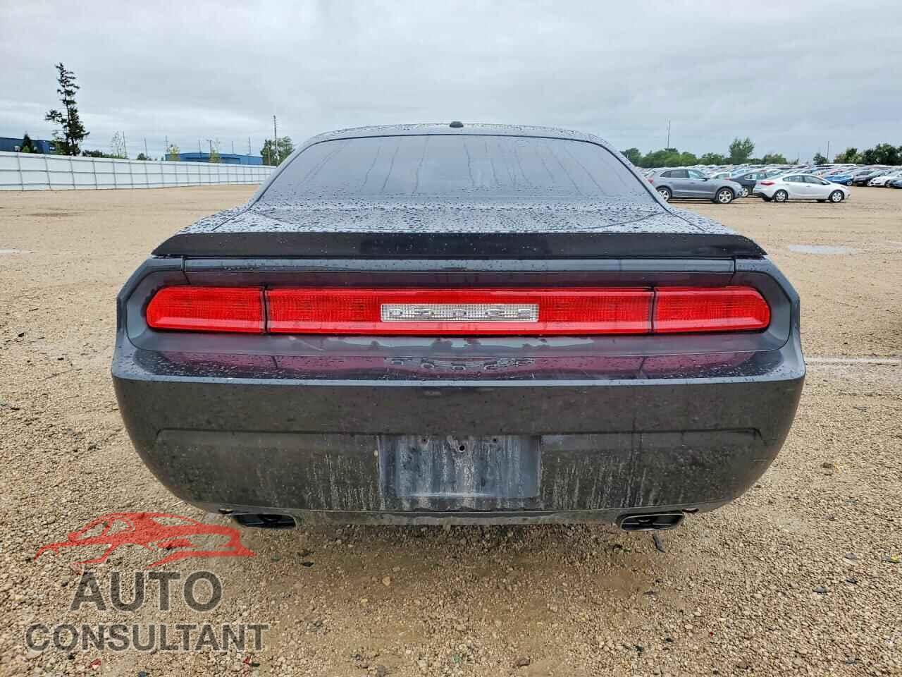 DODGE CHALLENGER 2009 - 2B3LJ54T29H504247