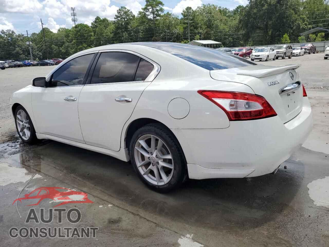 NISSAN MAXIMA 2011 - 1N4AA5AP0BC808690