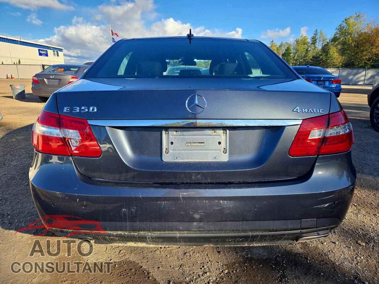 MERCEDES-BENZ E-CLASS 2010 - WDDHF8HB2AA159853