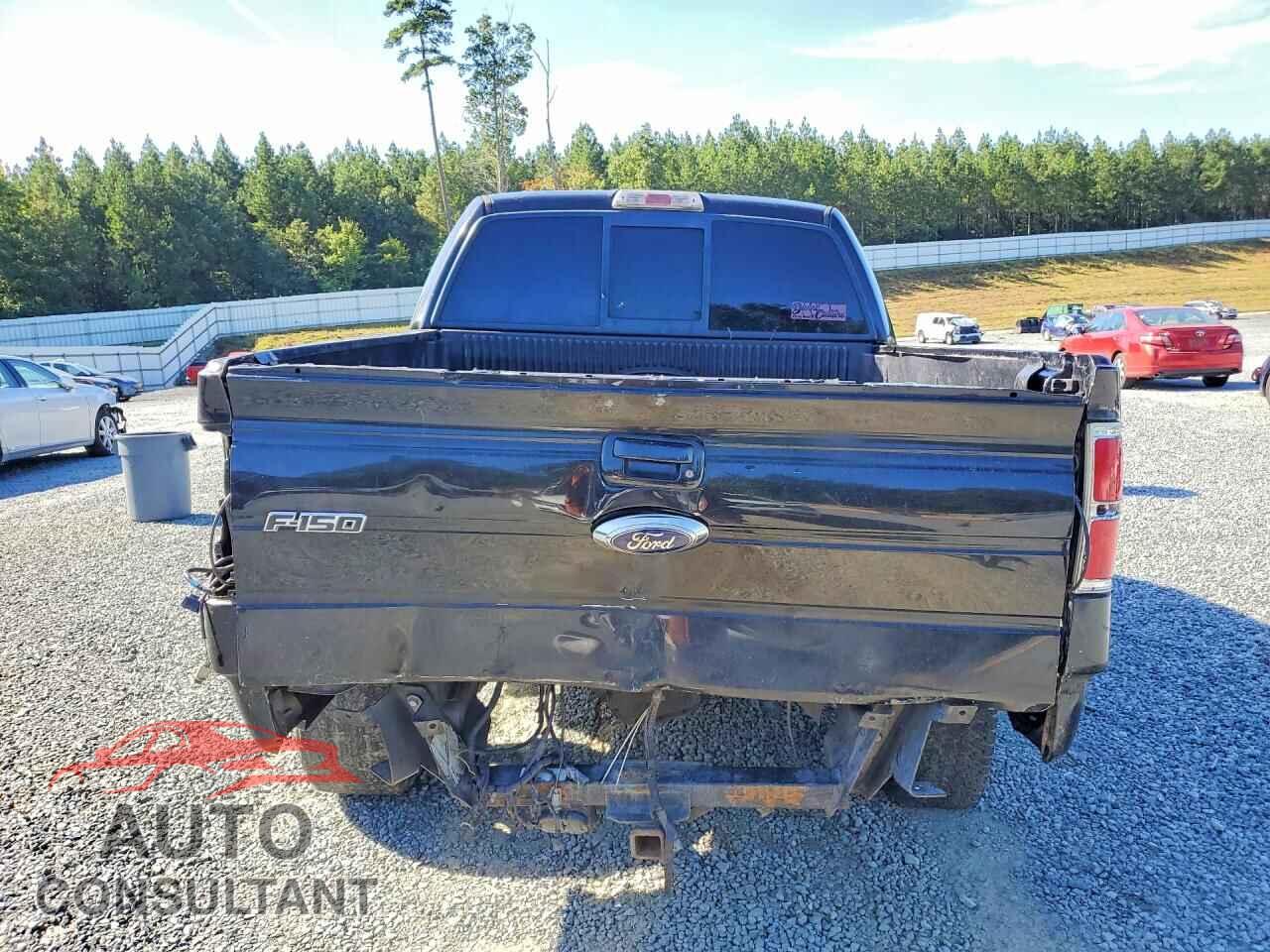 FORD F150 2011 - 1FTFW1EF9BFA93676