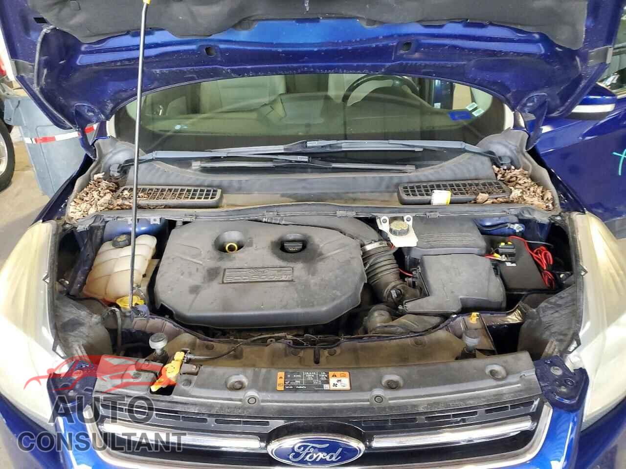 FORD ESCAPE 2014 - 1FMCU9J94EUB73082
