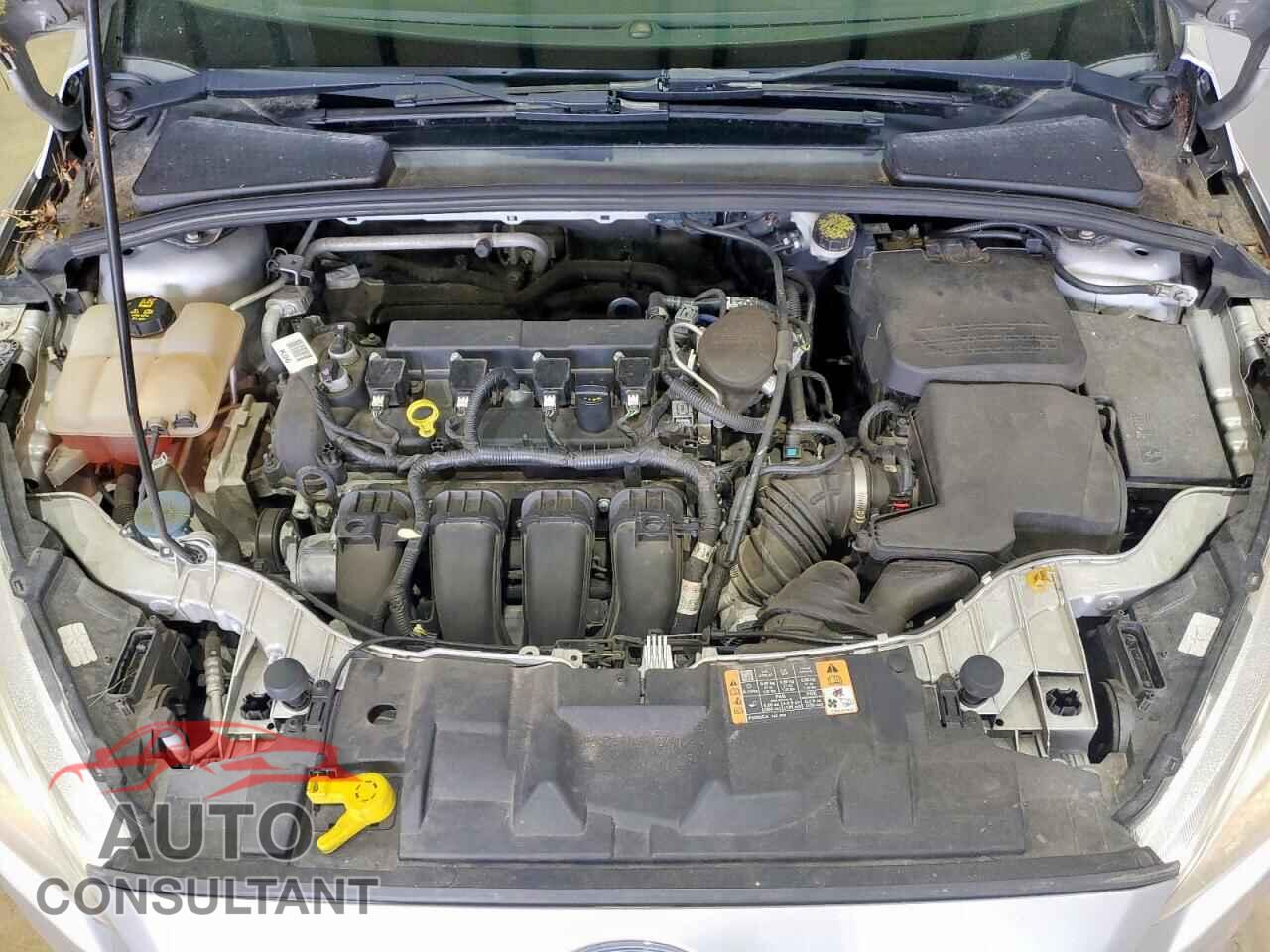 FORD FOCUS 2016 - 1FADP3F28GL308006