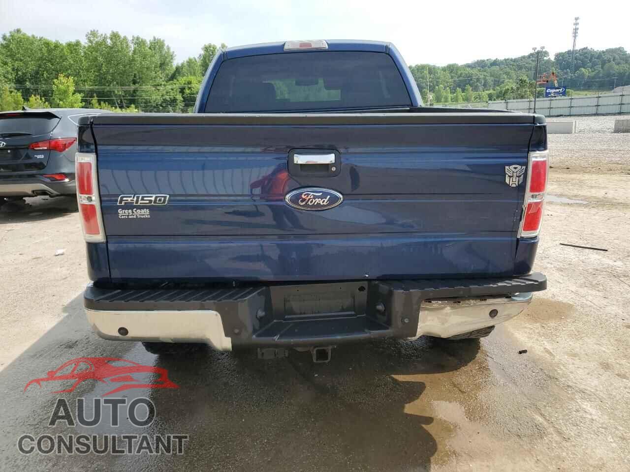 FORD F-150 2010 - 1FTFX1EV5AFC24377