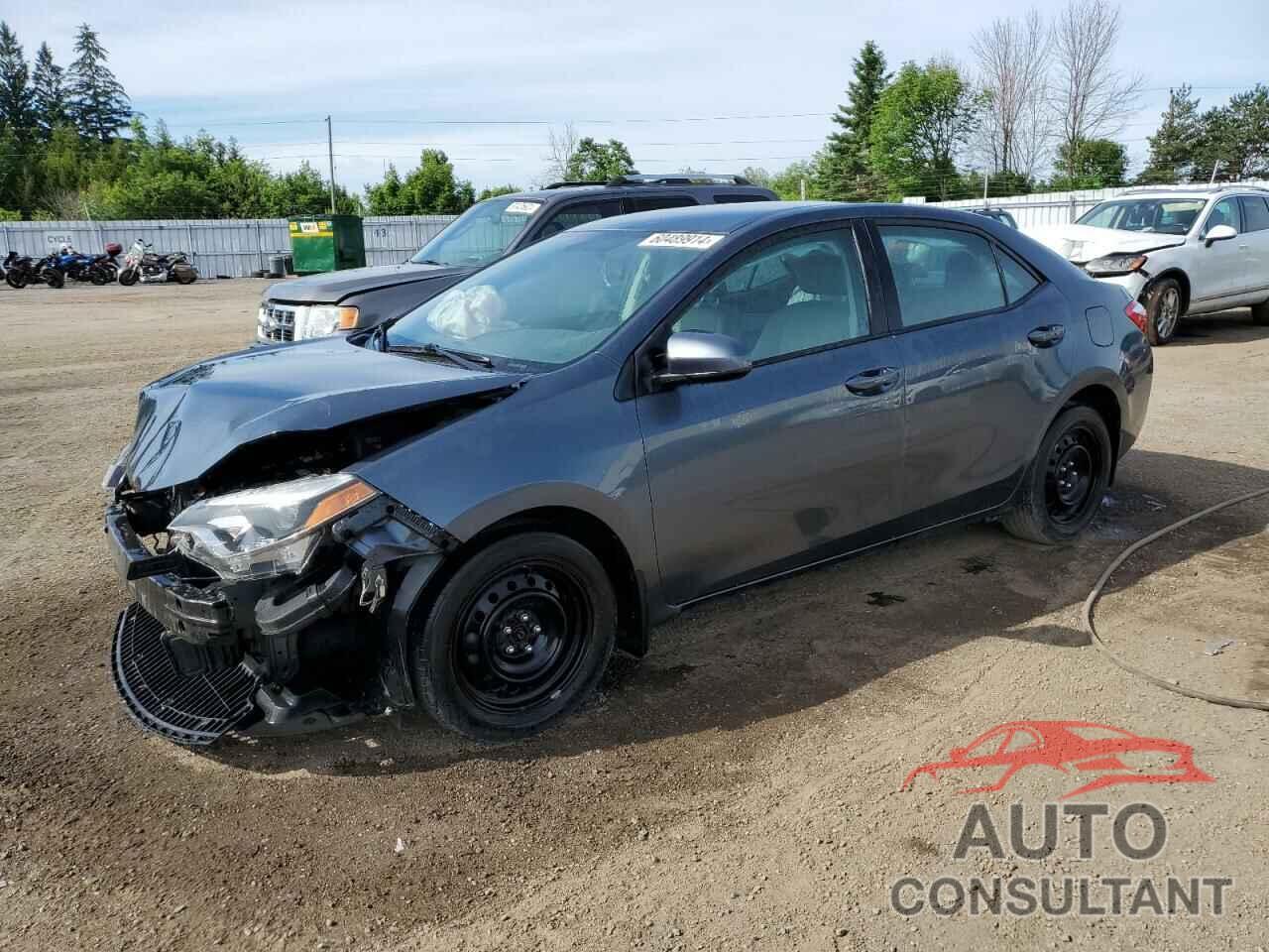 TOYOTA COROLLA 2016 - 2T1BURHE6GC556685