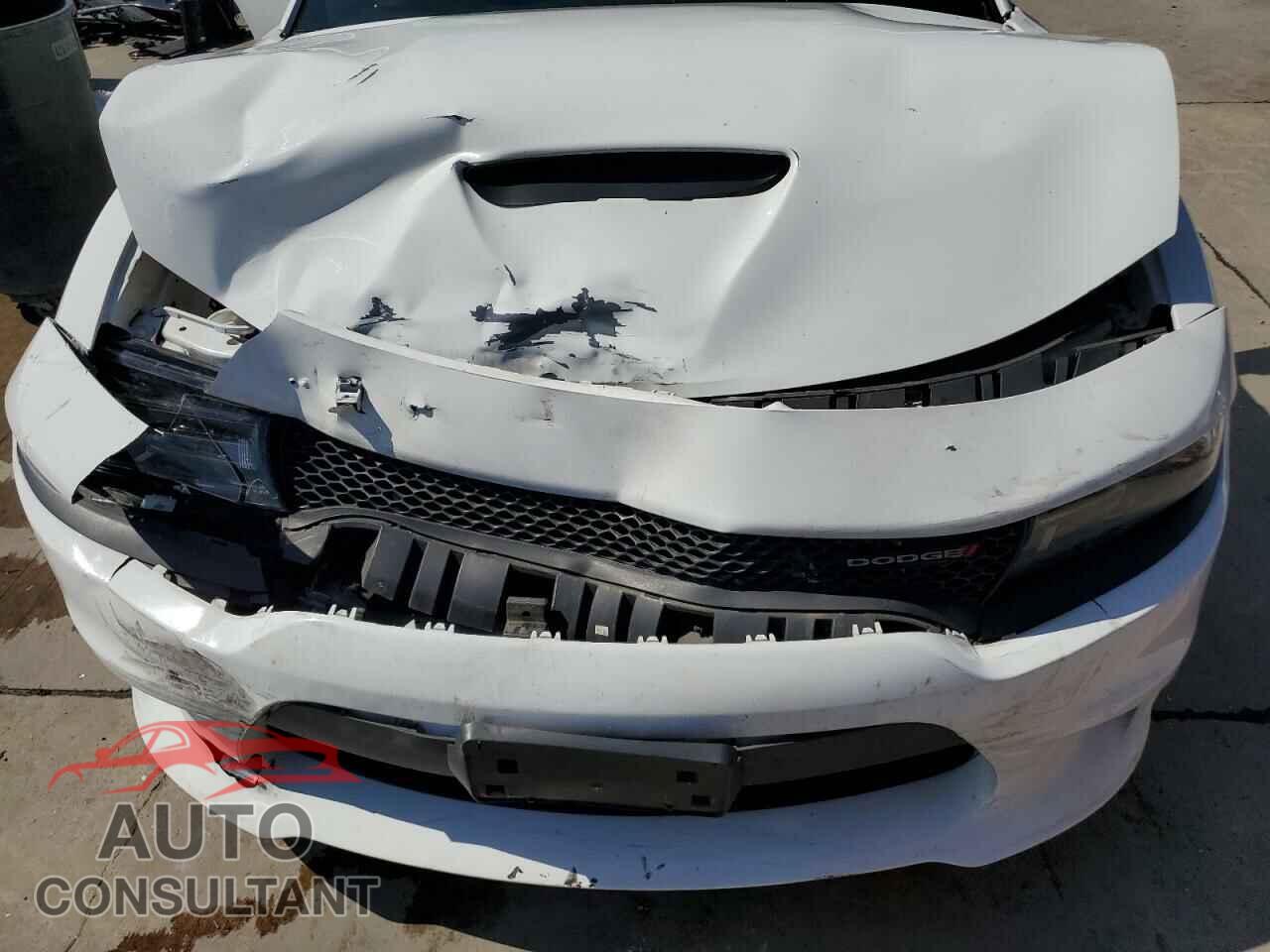 DODGE CHARGER 2019 - 2C3CDXHG4KH716429