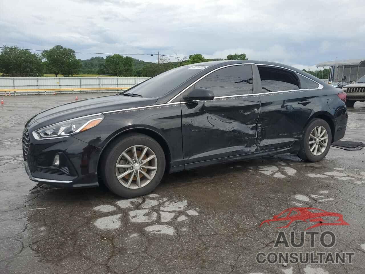 HYUNDAI SONATA 2019 - 5NPE24AF1KH786794