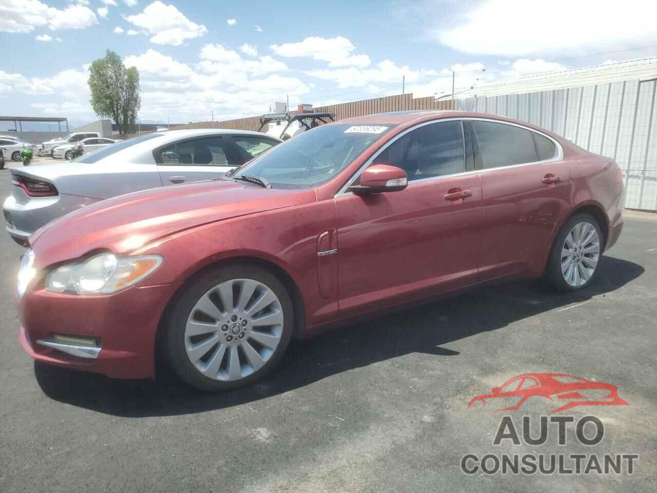 JAGUAR XF 2009 - SAJWA06B59HR02336