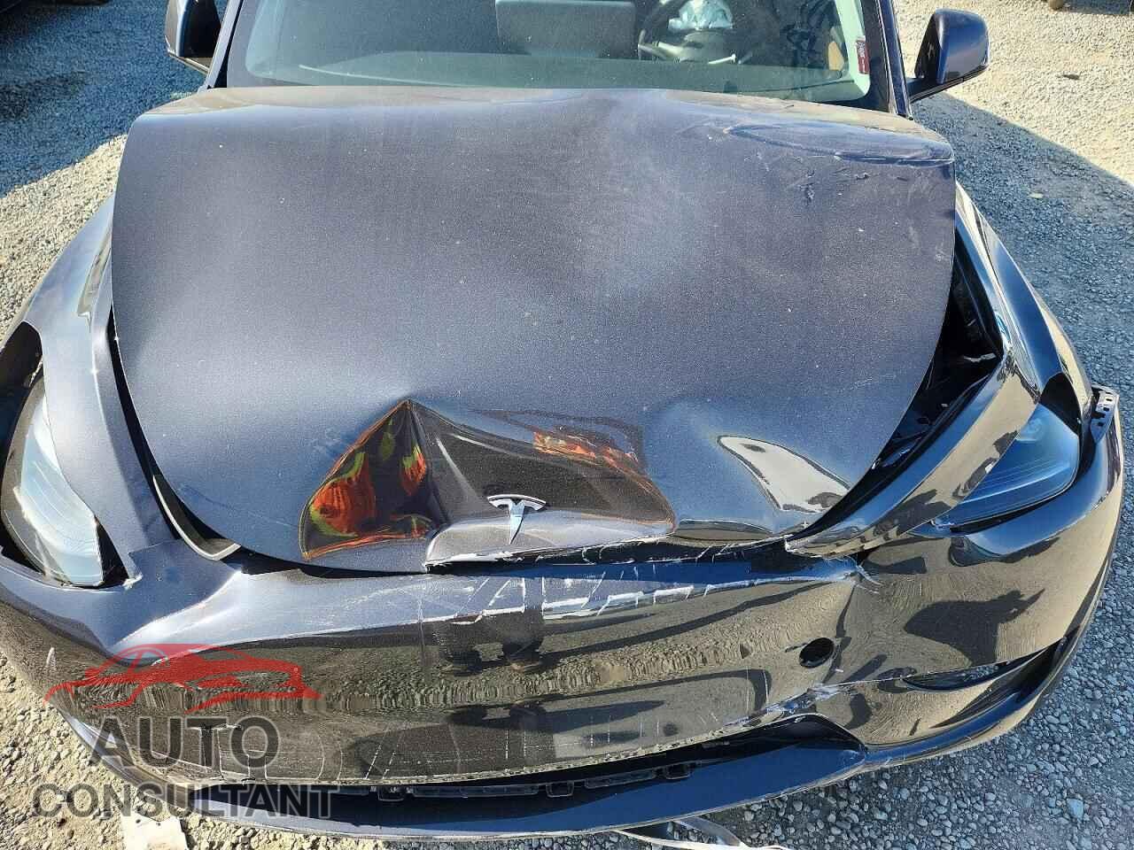 TESLA MODEL Y 2025 - 7SAYGAEE8SF309036