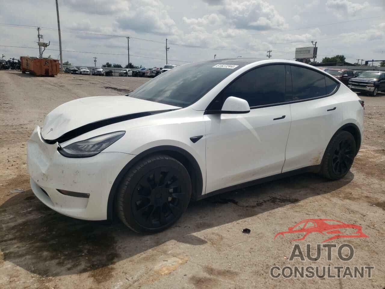 TESLA MODEL Y 2021 - 5YJYGDEE5MF111550