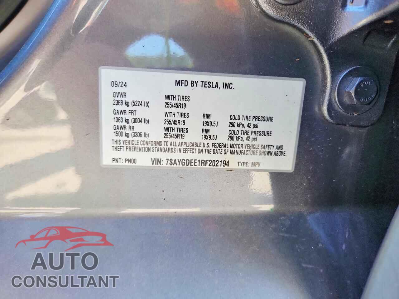 TESLA MODEL Y 2024 - 7SAYGDEE1RF202194