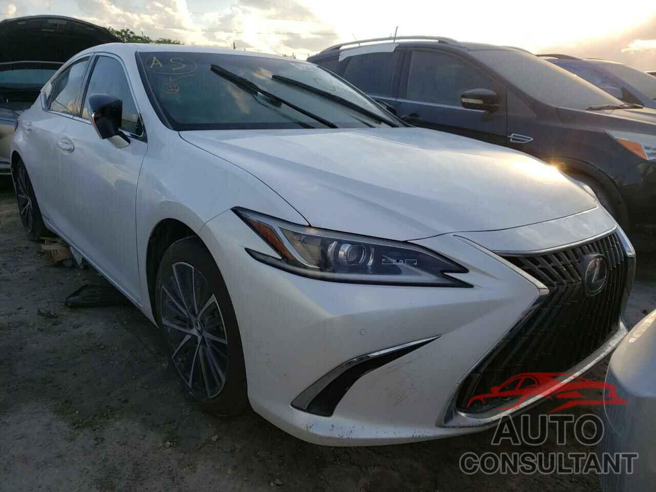 LEXUS ES300 2022 - 58ADA1C19NU021779