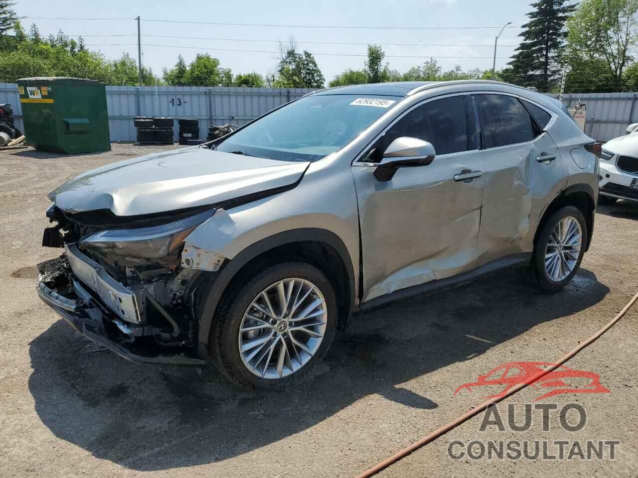 LEXUS NX 350H BA 2024 - 2T2GKCEZ4RC025080
