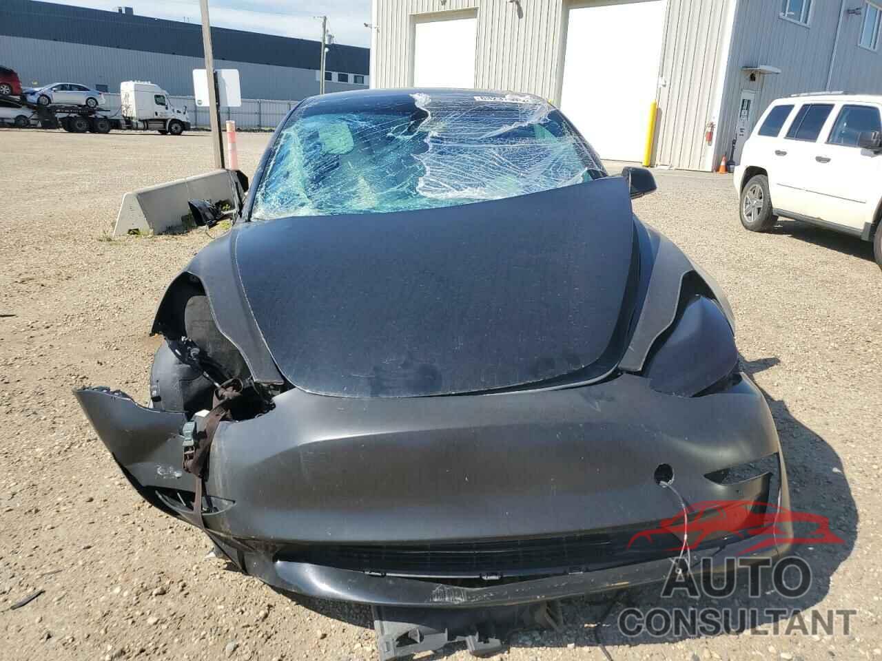 TESLA MODEL 3 2021 - 5YJ3E1EA1MF031965