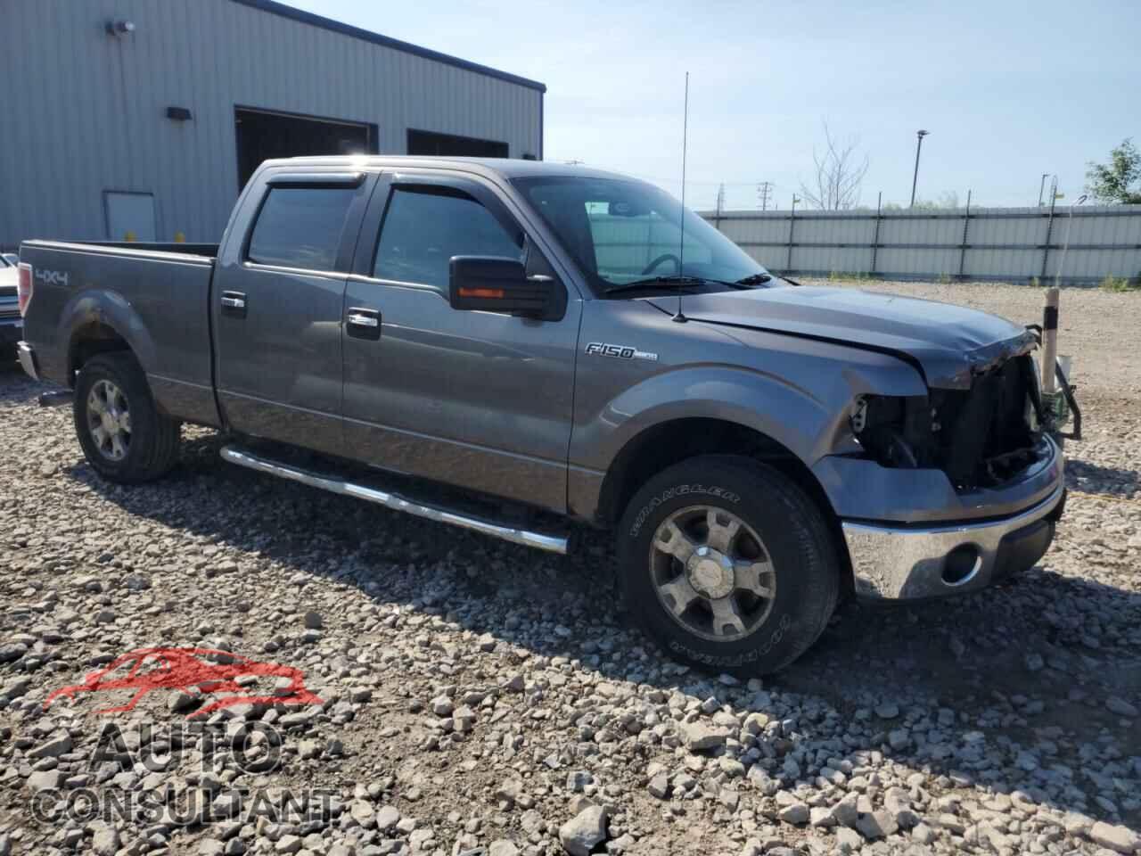 FORD F-150 2010 - 1FTFW1EV6AFD75232